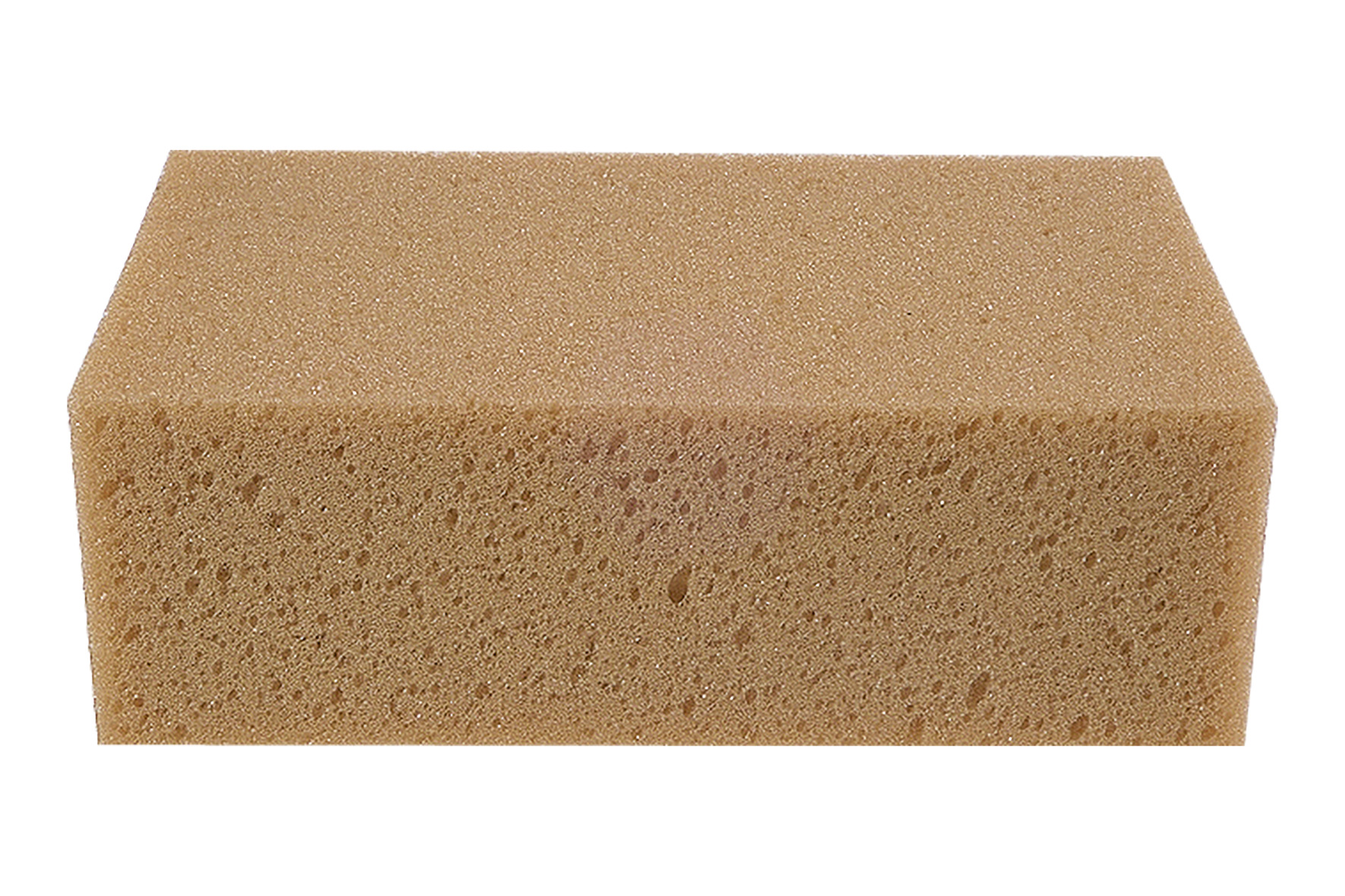 4194 Tile sponge, nature