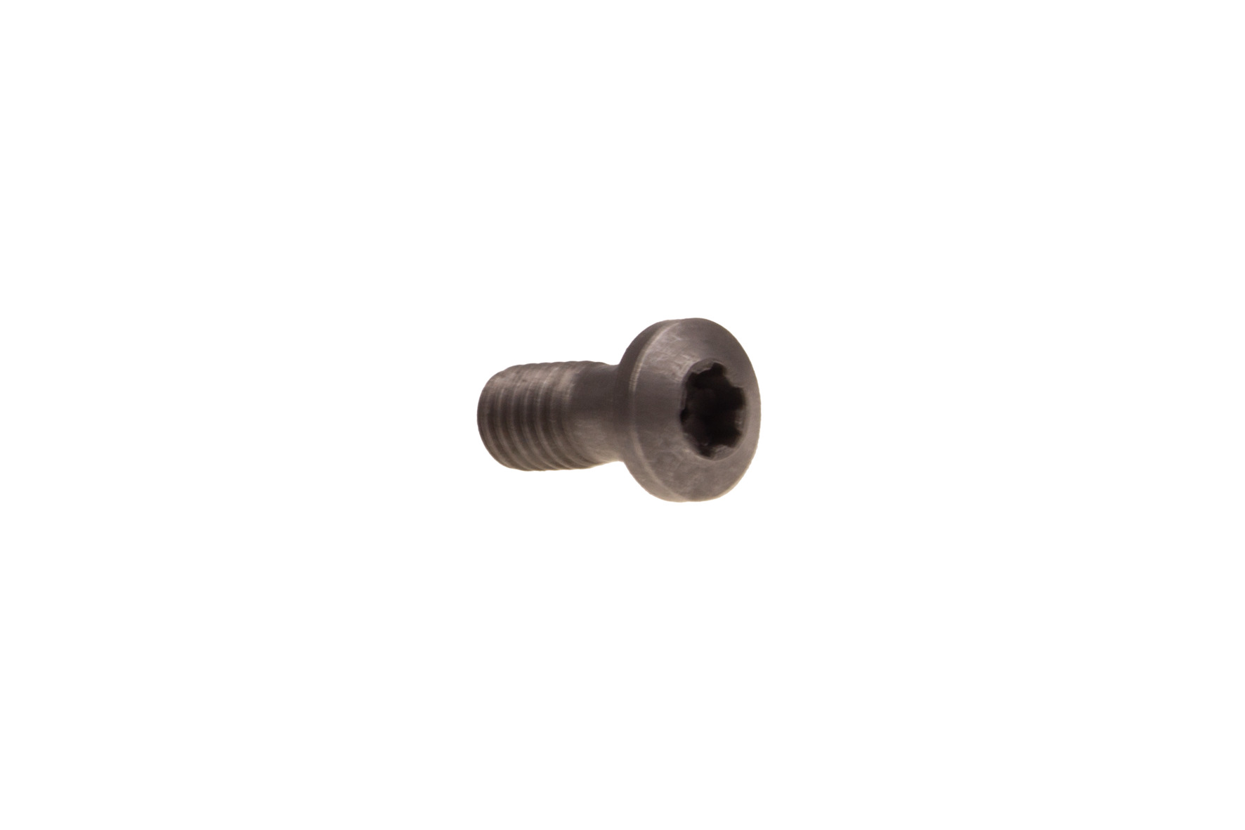 7044 Torx screw for DWS articles